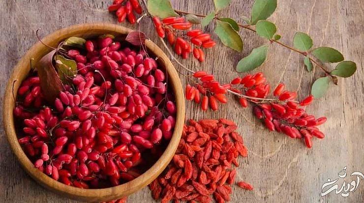 طرز تهیه ماهی شکم پر مجلسی و نکاتی برای خوشمزه تر شدن آن / منتشر نشود